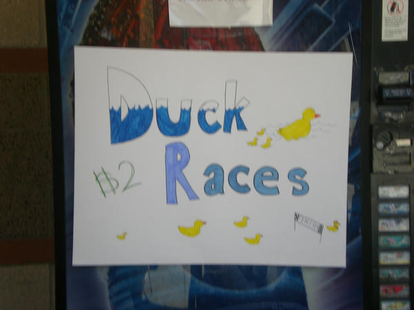 Duck Races