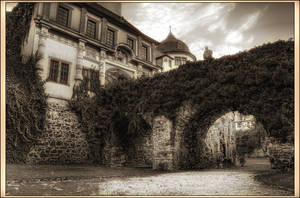Crossing Ivy