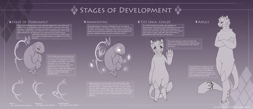 Stages of Development