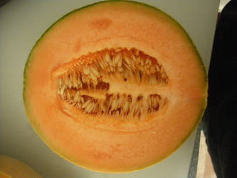 Cantaloup-4