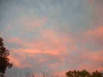 Cotton Candy Clouds 1282