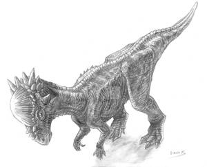 Pachycephalosaurus