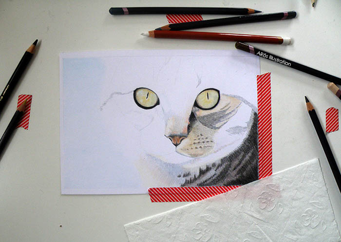 WIP - Cat (A5)