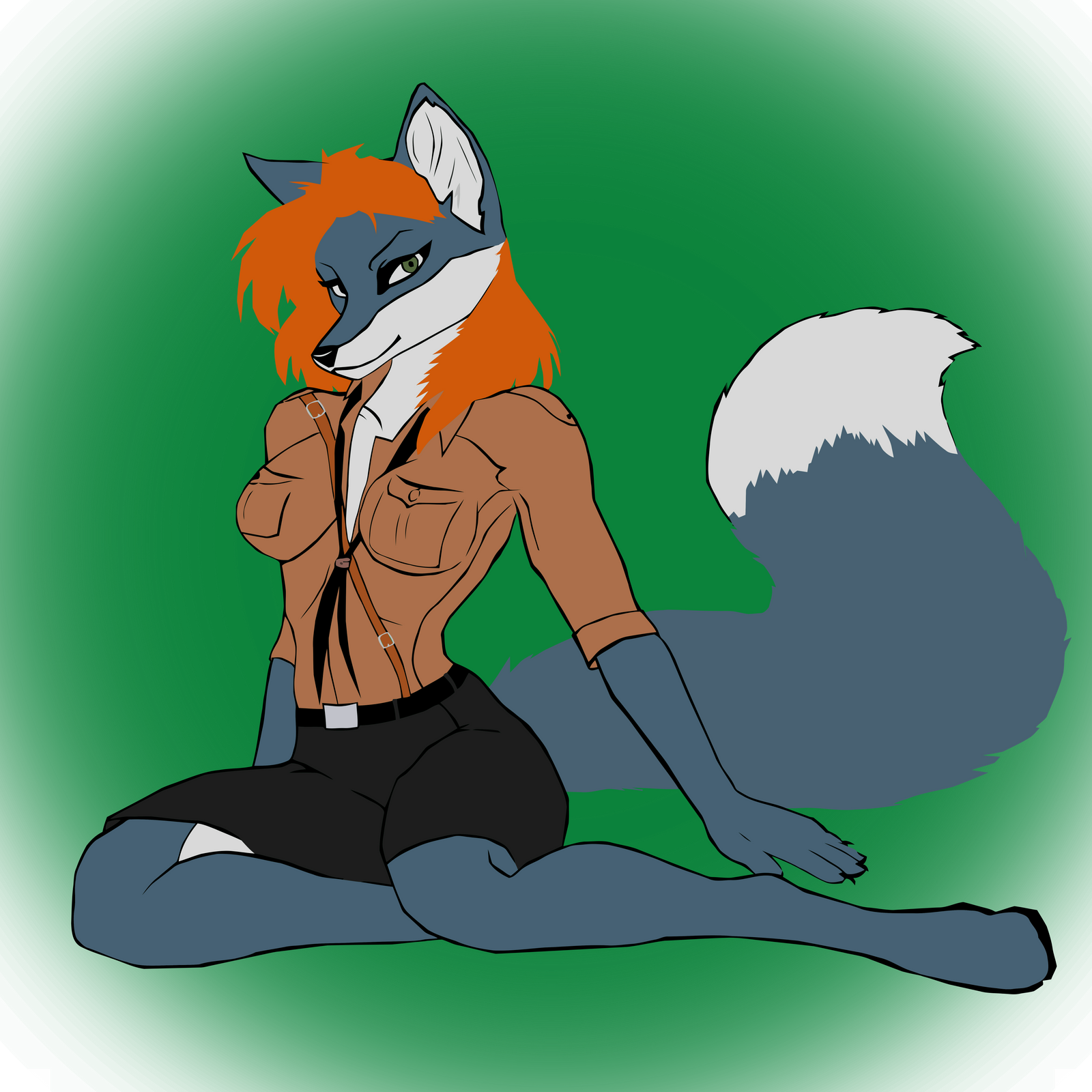 Graphitew Fox Grey Fox by reichtraktoristen on DeviantArt