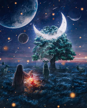 Moon Tree