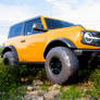 Yellow Bronco in field