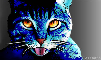 Blue cat