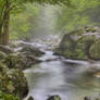 Smoky Mountain Mists