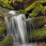 Smoky Mountain Stream