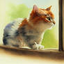 Kitten On Windowsill