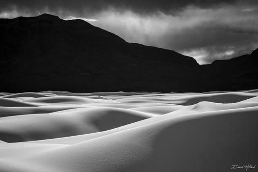 Wandering the Dunes