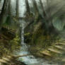 The Undisturbed Forest