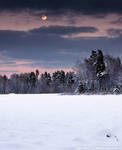 Winter landscape in Sweden by msun