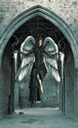 Angel Or Demon by KnightFlyte96