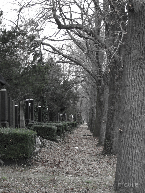 cemetery