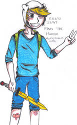 Finn The Human