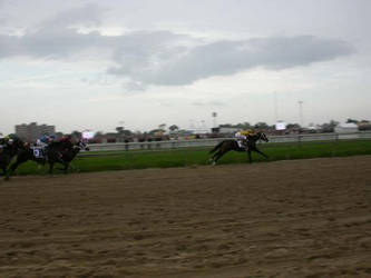 Rachel Alexandra