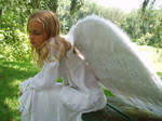 young wings 29 by jealousy1314