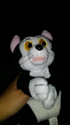 my Figaro plush