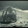 Rock Crabs from Apollo 18