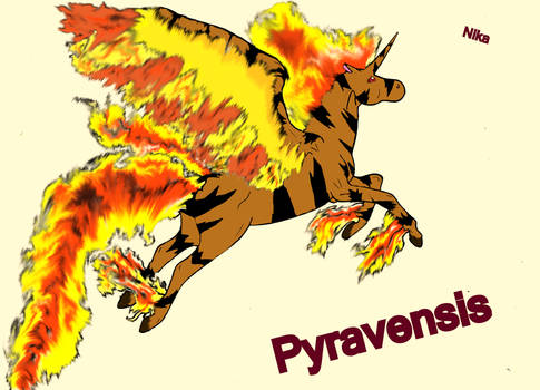 Pyravensis