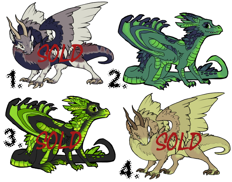 Dragon Adoptables. SOLD!