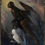 heremita takes flight