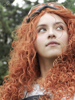 STEAMPUNK MERIDA