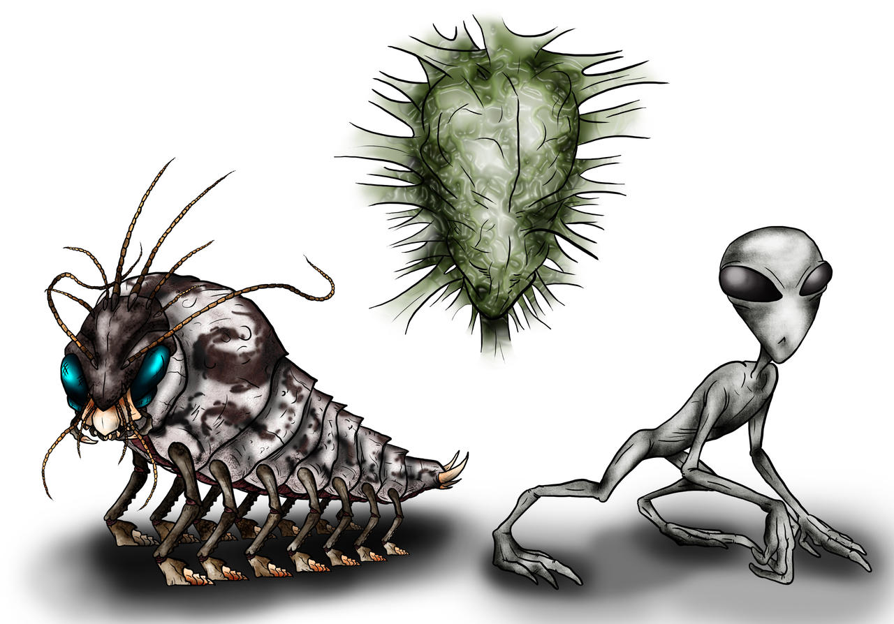 Animorphs Races Animorphs Races: Skrit Na by Monster-Man-08 on DeviantArt