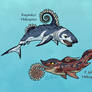 Science Ruined Helicoprion