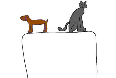 Cat and Dog