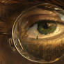 The Reflected Realm