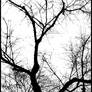 Arbre