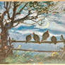Turkeys by Moonlight
