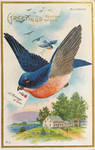 Big Bluebird by Yesterdays-Paper