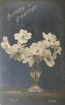 Dogwood Blossoms in Vase