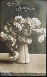 1906 Chrysanthemums Rotograph Postcard
