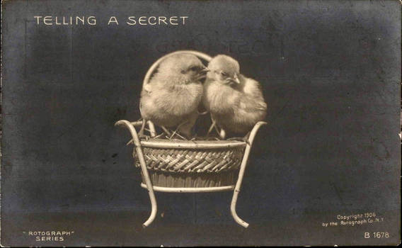 Telling A Secret