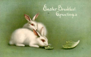 Easter Breakfast Greetings