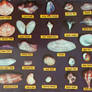 Vintage Florida - Shell Chart
