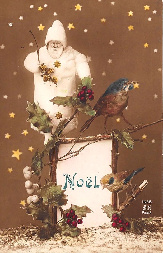 Oiseaux de Noel