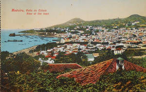 Vintage European Postcards - Madeira Island