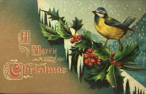 Merry Christmas Tweets