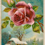 Victorian Advertising - Winter Rose