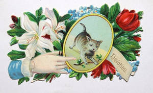 Victorian Calling Card - Devotion Kitty