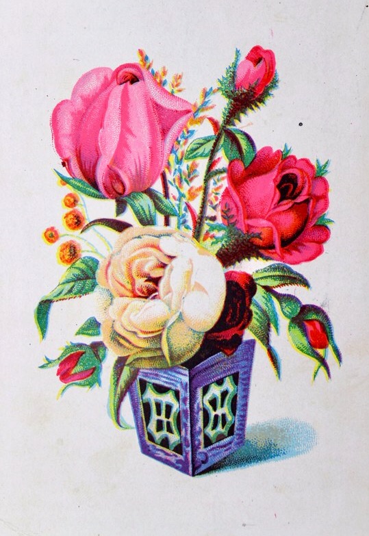 Victorian Advertising - Rosy Splendor