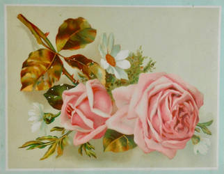 Victorian Advertising - Marguerites + Roses