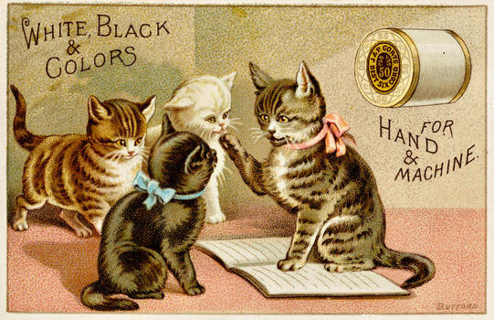 Victorian Advertising - Kitty Class