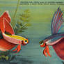 Vintage Florida - Siamese Fighting Fish