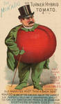 Victorian Advertising - Make Way For Tom by Yesterdays-Paper